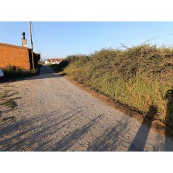 En venta: Terreno en Moraleja