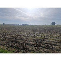 DOS PARCELAS DE REGADIO. VEGAVIANA