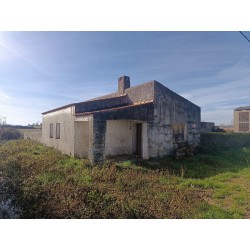 DOS PARCELAS DE REGADIO. VEGAVIANA