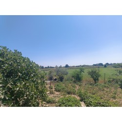 En venta: Terreno con Nave en Moraleja
