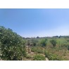 En venta: Terreno con Nave en Moraleja