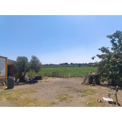 En venta: Terreno con Nave en Moraleja
