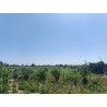 En venta: Terreno con Nave en Moraleja
